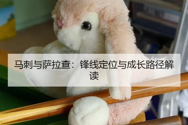 马刺与萨拉查：锋线定位与成长路径解读